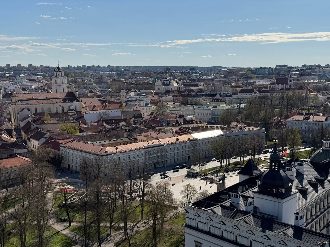 Gediminas Castle Tower-维尔纽斯必去景点