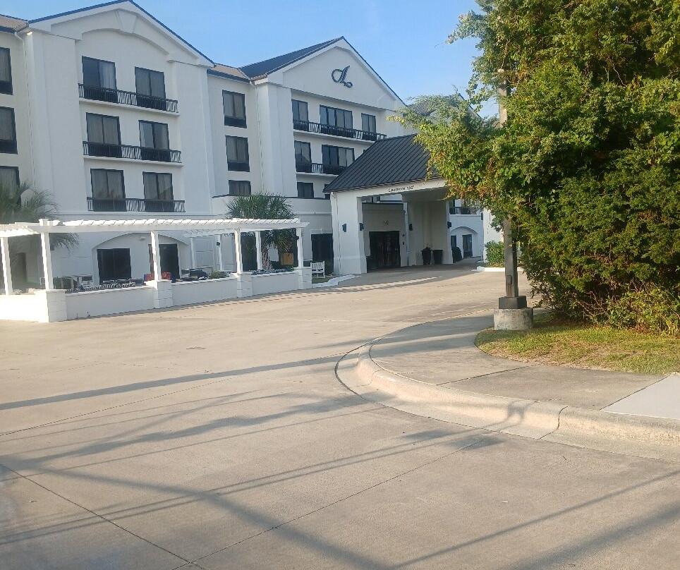 阿丽斯酒店在大西洋海滩主图