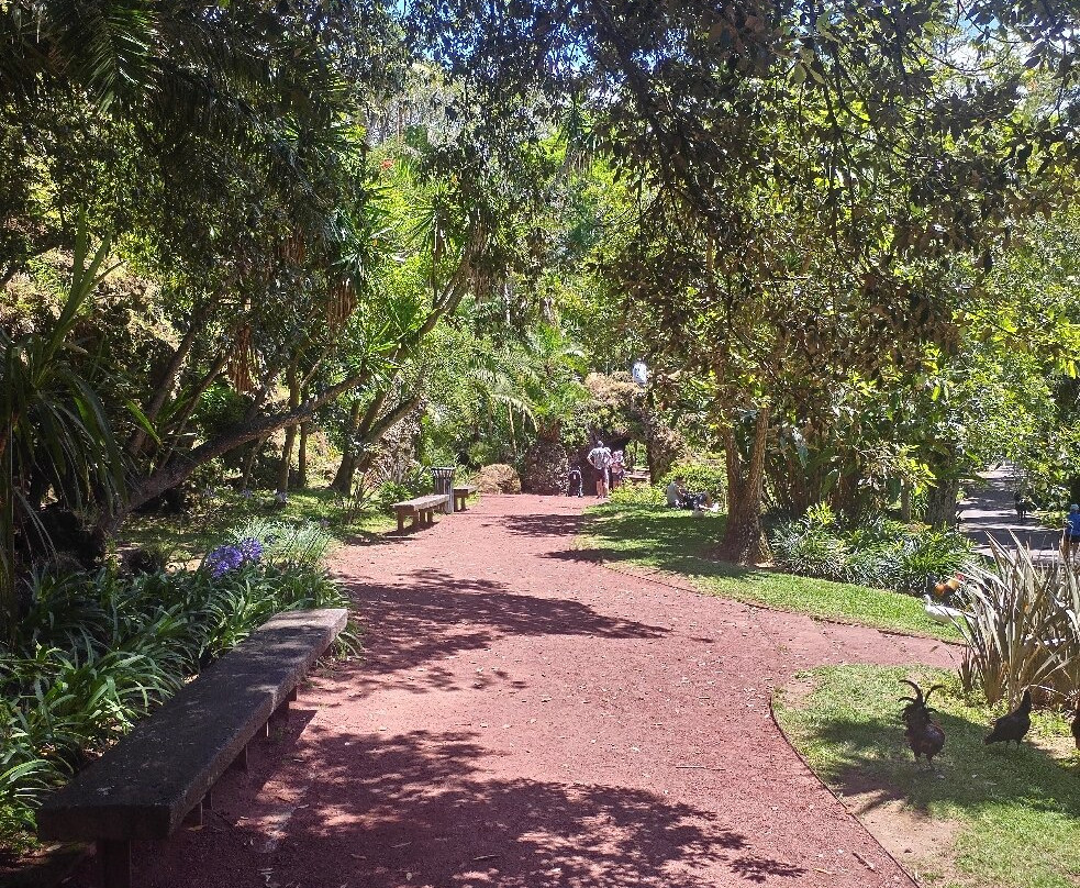 Jardim Botânico António Borges-蓬塔德尔加达必去景点