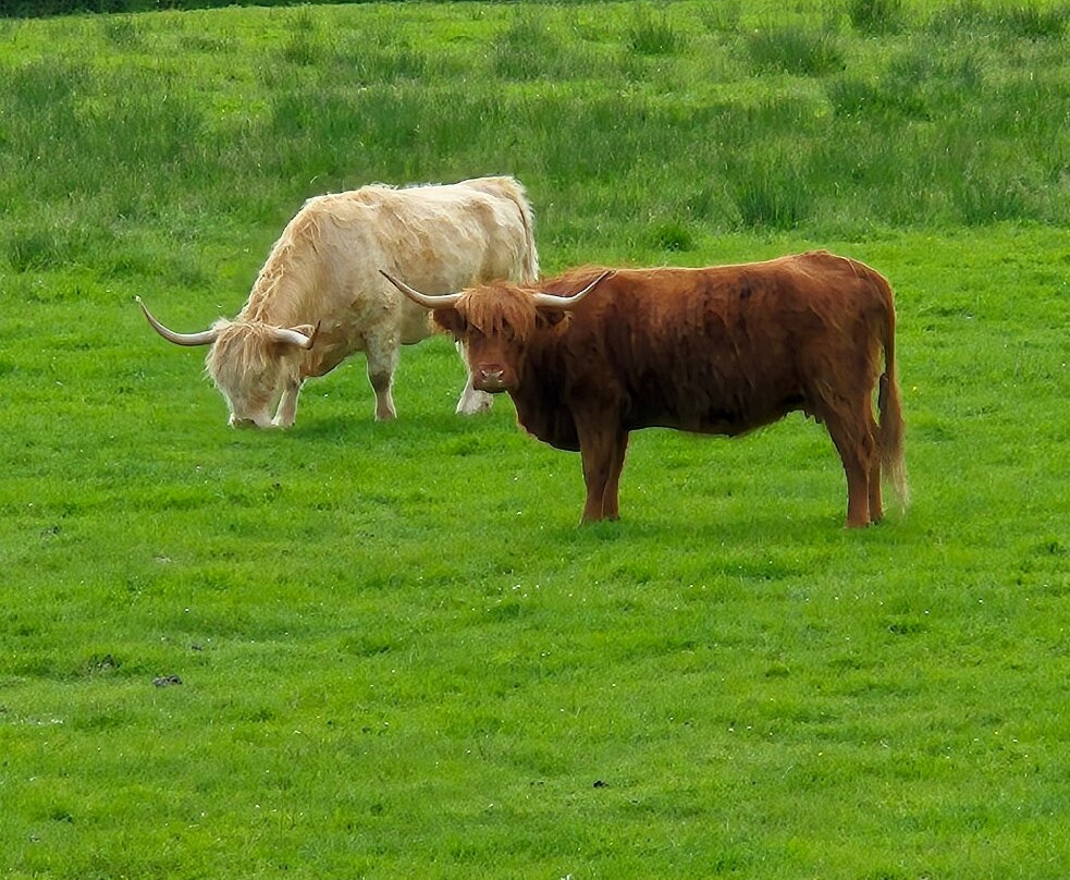 Walby Farm Park-Crosby on Eden必去景点
