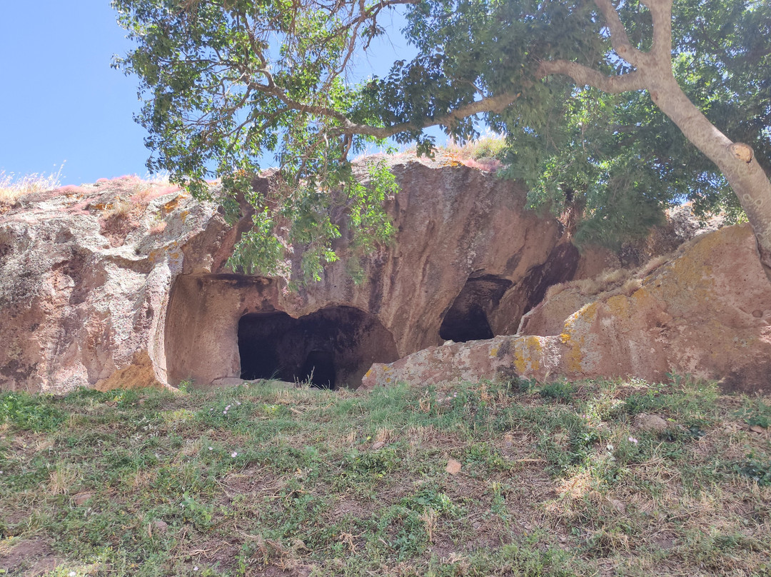 Necropolis of Sant'Andrea Priu-Bonorva必去景点