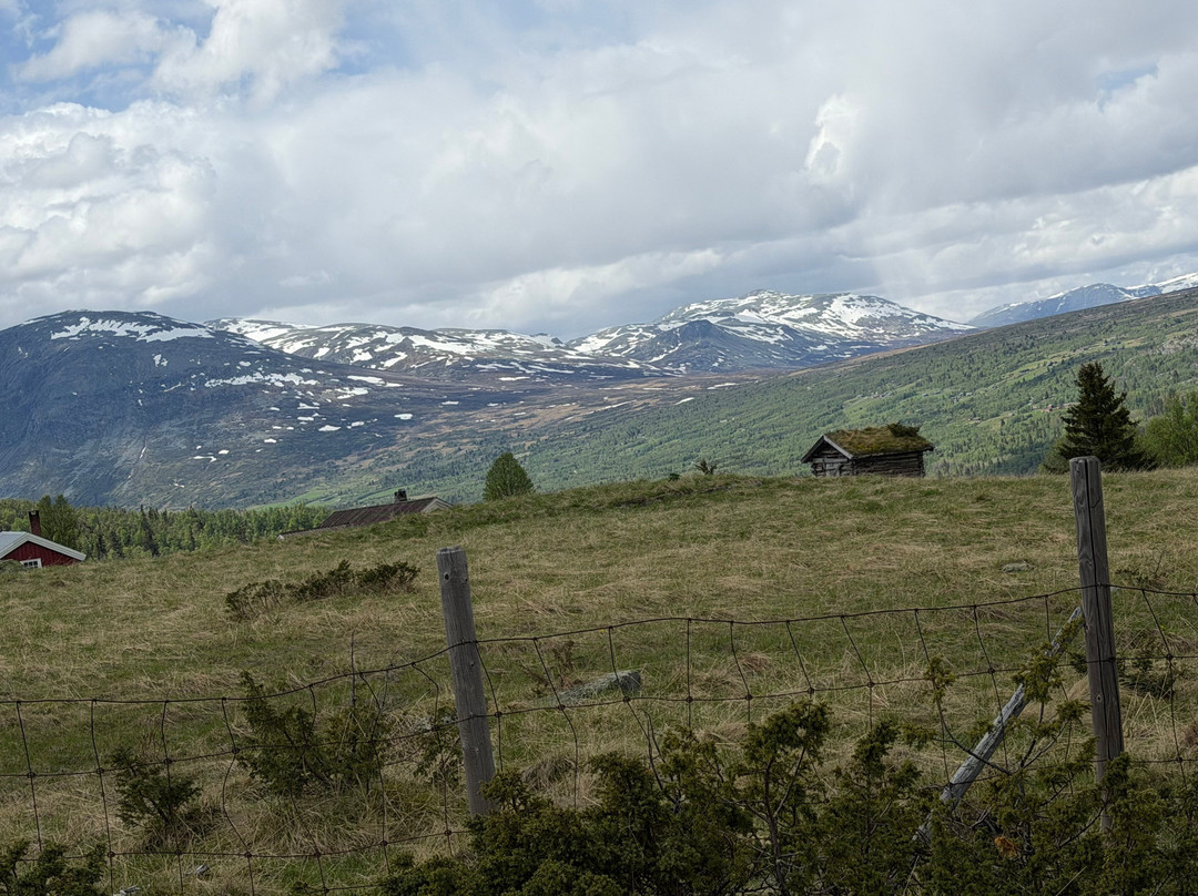 Round Trip of Tisleifjorden Golsfjellet-古尔必去景点