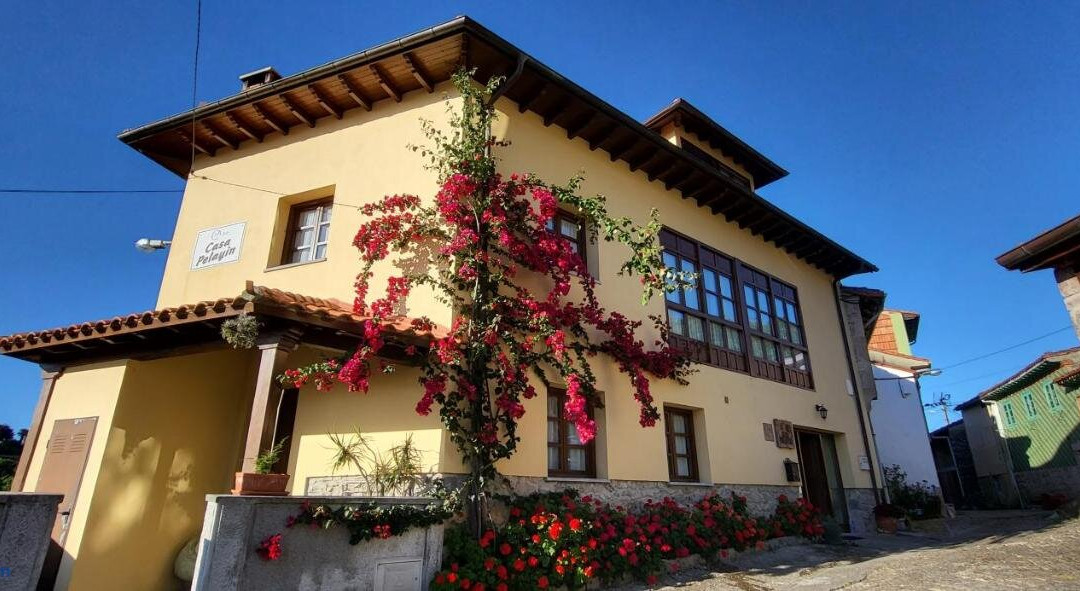Casa Pelayin