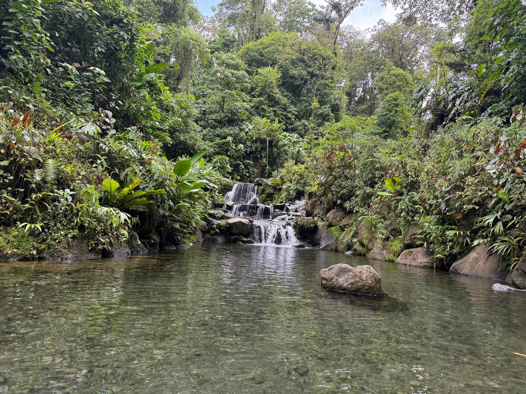 Kurú Natural Springs-福德圣卡洛斯必去景点