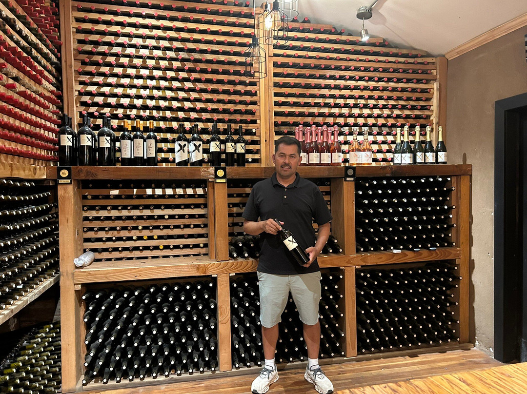 Vinos Cruz-San Antonio de las Minas必去景点
