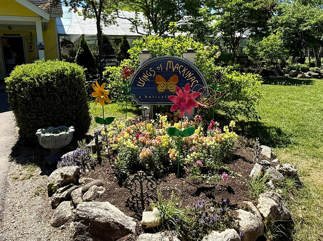 Wings of Mackinac Butterfly Conservatory-麦其诺岛必去景点