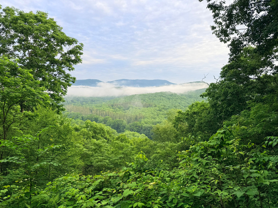 Seneca State Forest-Marlinton必去景点