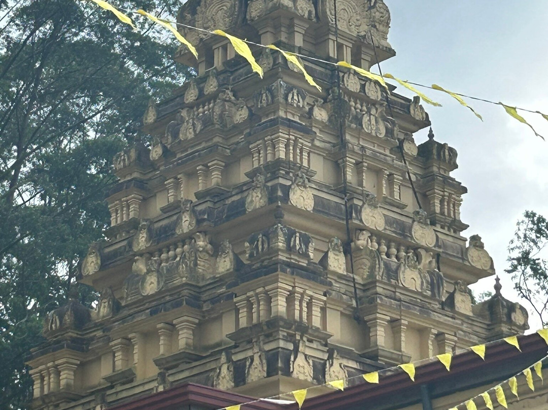 Ceyglow Tours - Private Driver Sri Lanka-Katana必去景点