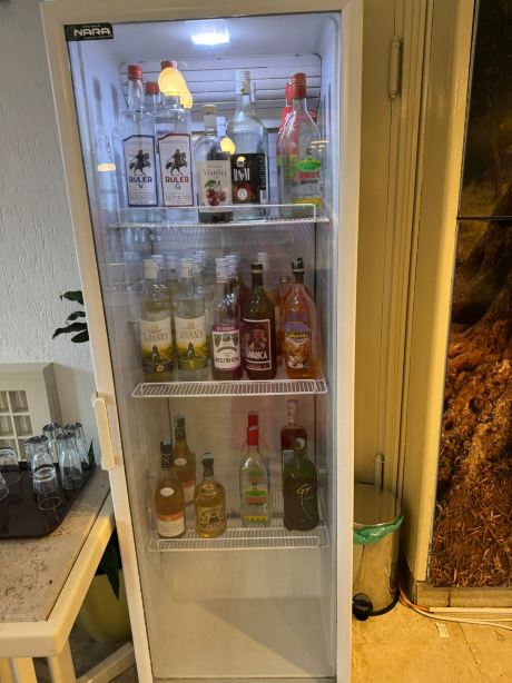 亚历山大酒店-旅行者