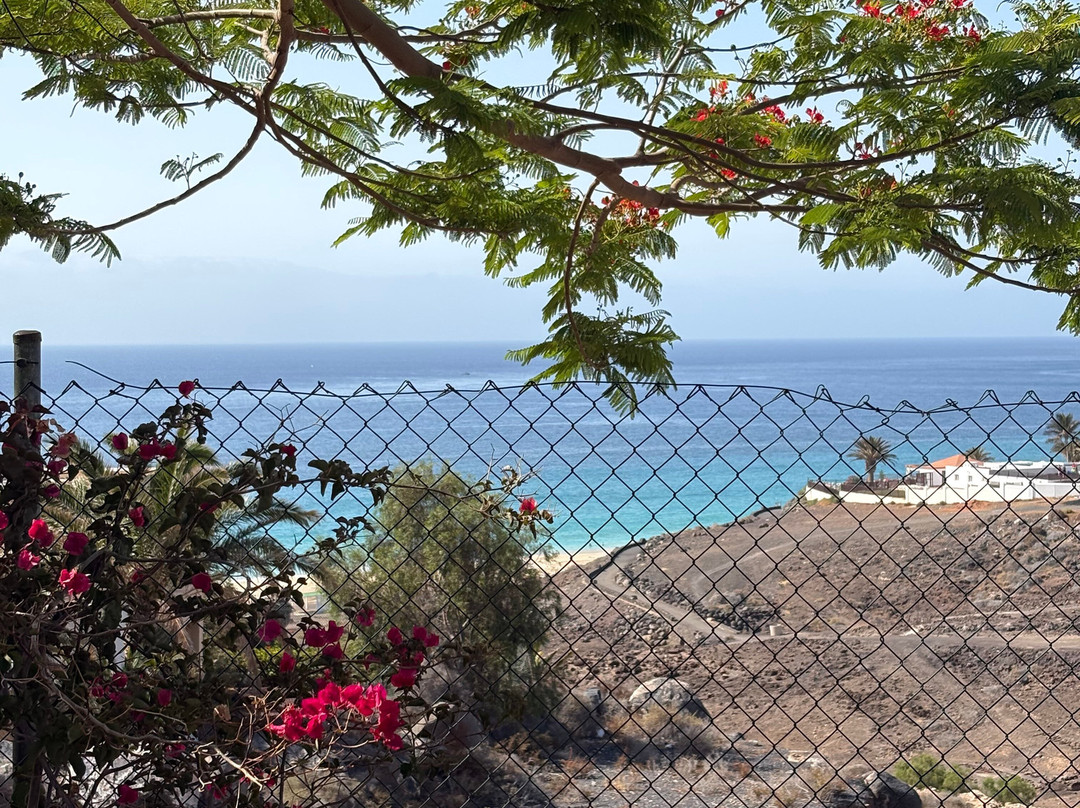 Alua Village Fuerteventura - All Inclusive主图