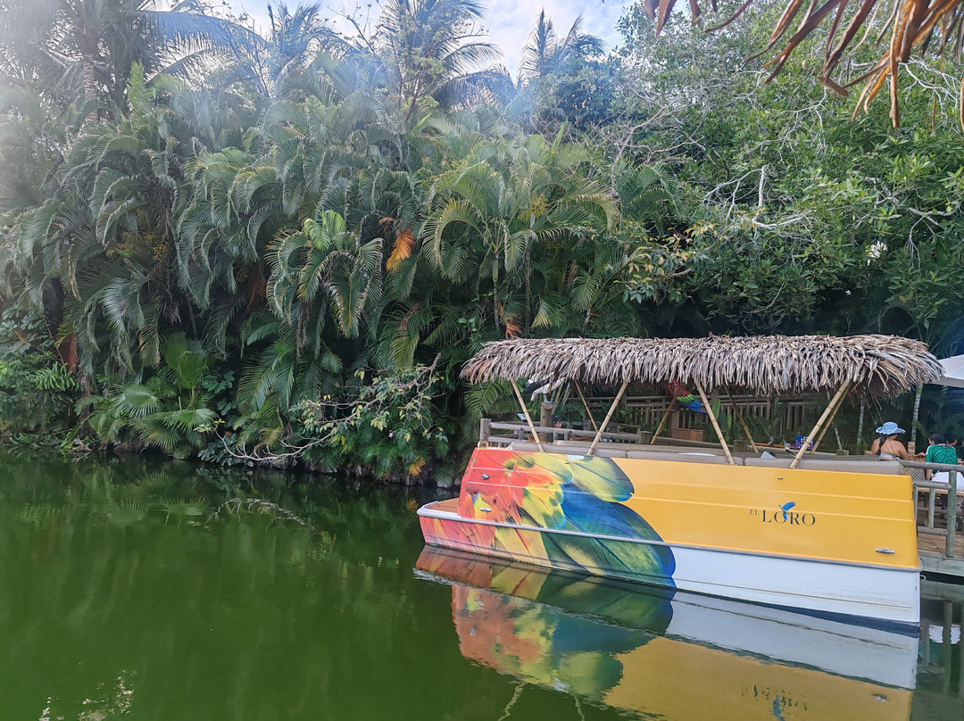 Apartment for 7 People Pool, Golf Acces to Vidanta Attractions Grand Mayan Level主图