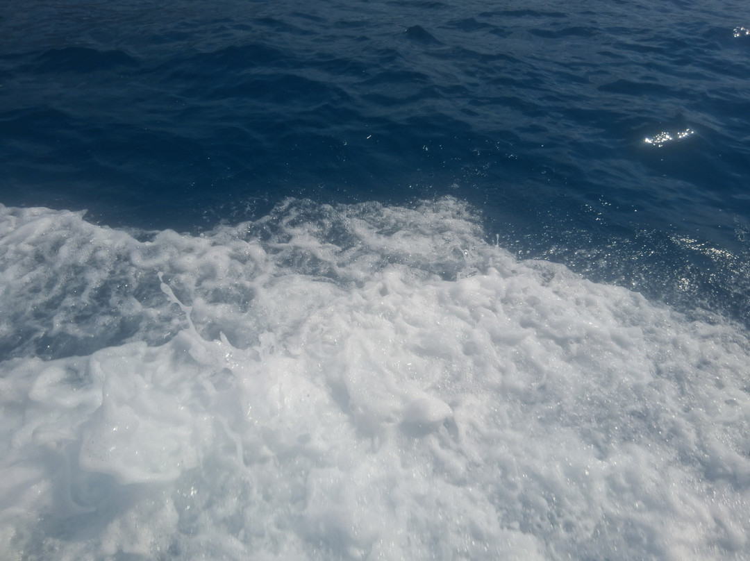 Glass Bottom Boat Trip-Pefkos必去景点