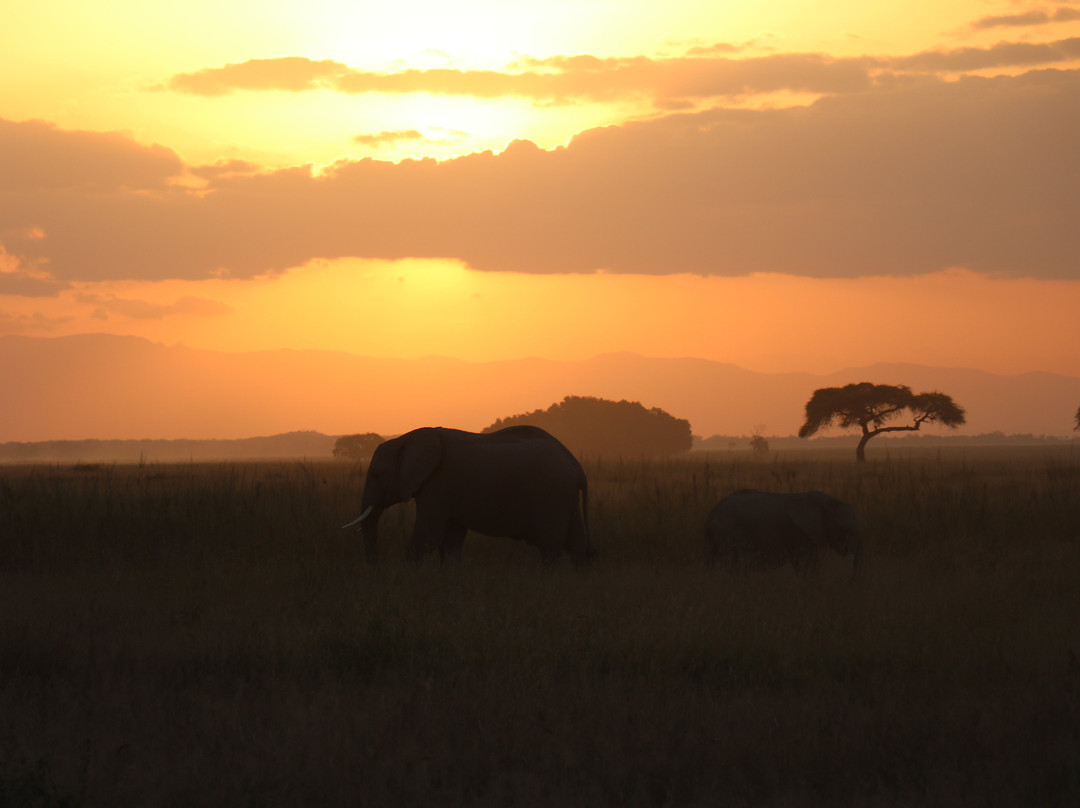 Live in Love Kenya tours and travel-Langata必去景点