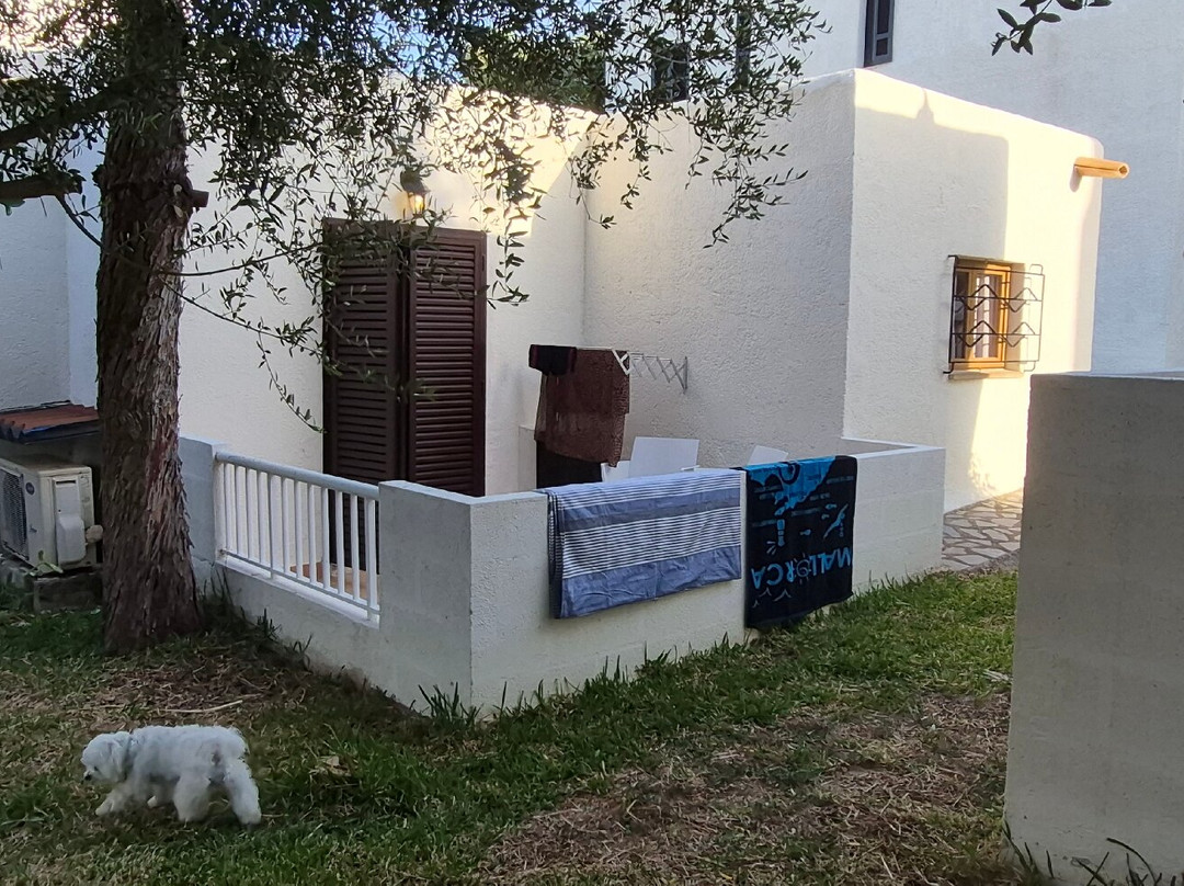 Club Cala Domingos主图