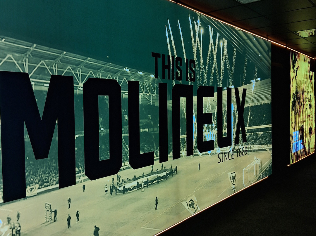 Wolves Museum & Stadium Tours-沃尔夫汉普顿必去景点