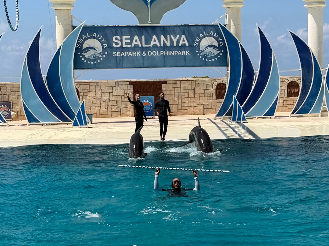 Sealanya Dolphinpark Seapark-蒂尔克莱尔必去景点