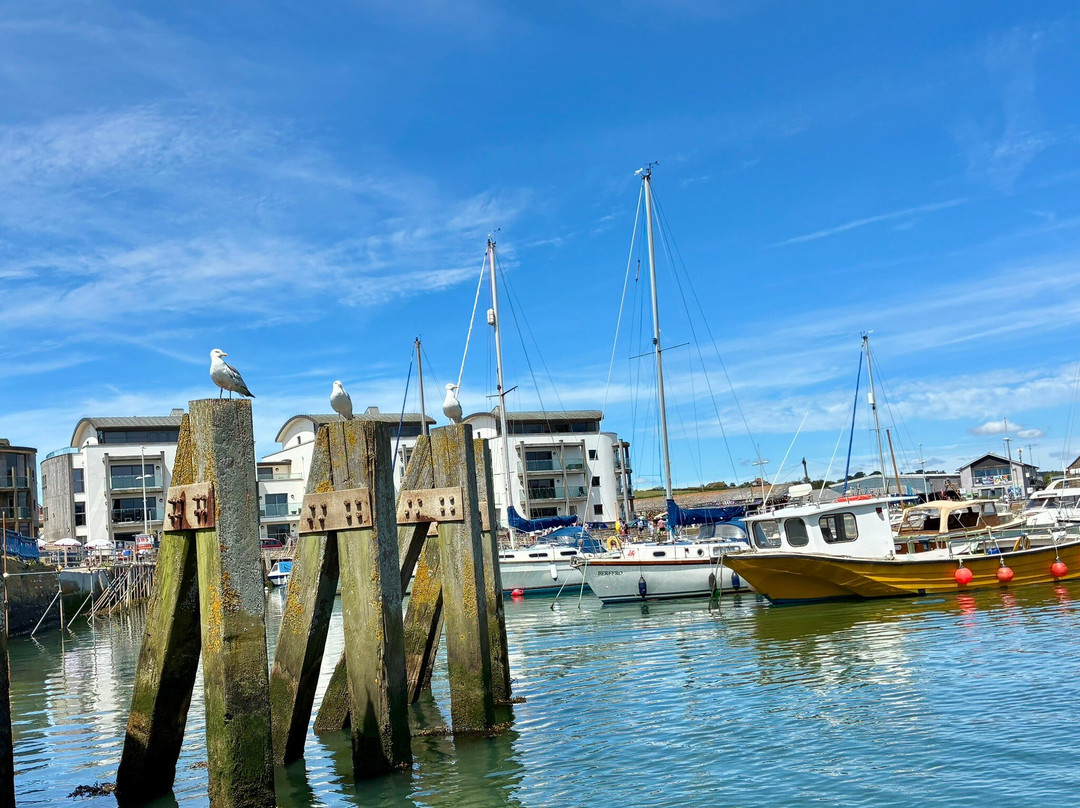 Lyme Bay Rib Charter-West Bay必去景点