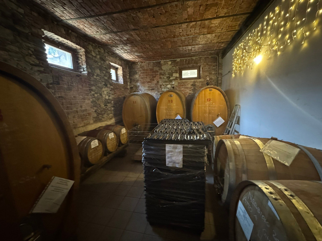 Cantina Fontechiara-Borgomanero必去景点