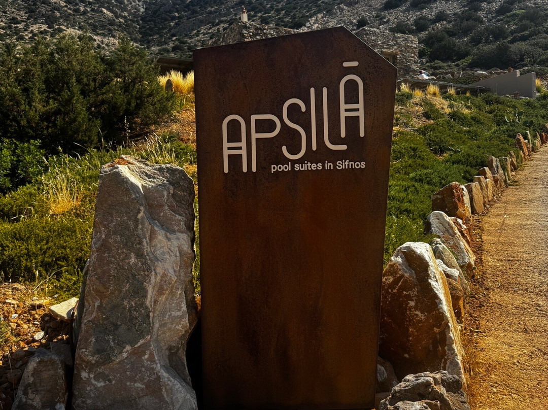 Apsila泳池套房主图