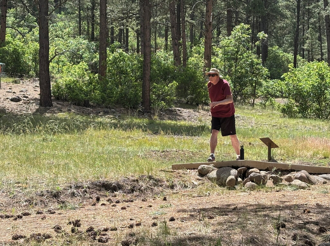 Reservoir Hills Disc Golf Course-帕戈萨斯普林斯必去景点
