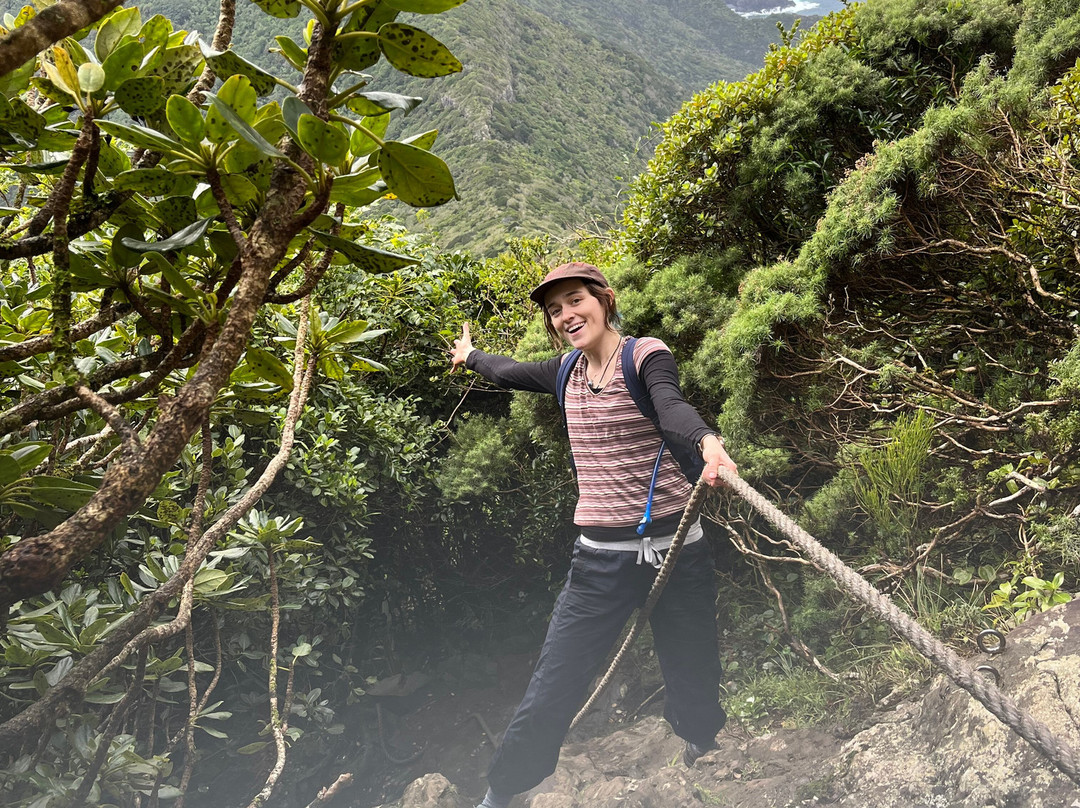Mt Gower-豪勋爵群岛必去景点