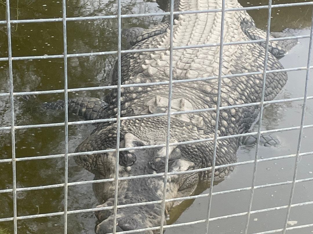 Koorana Crocodile Farm-Coowonga必去景点