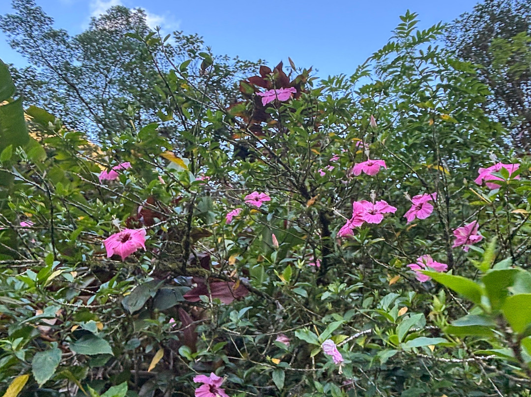 Karatu Expedition Safaris-阿鲁埃必去景点