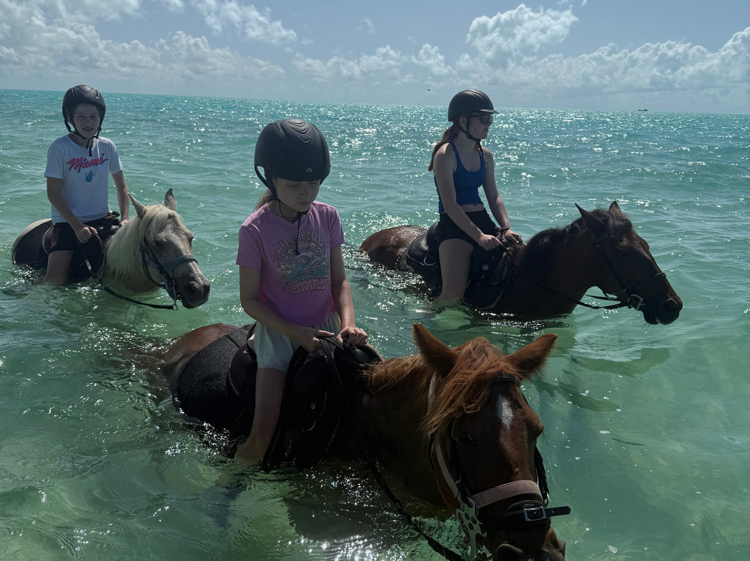 Provo Ponies-Long Bay Hills必去景点