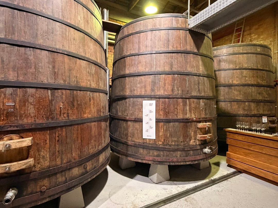 Miolo Wine Group-本图贡萨尔维斯必去景点