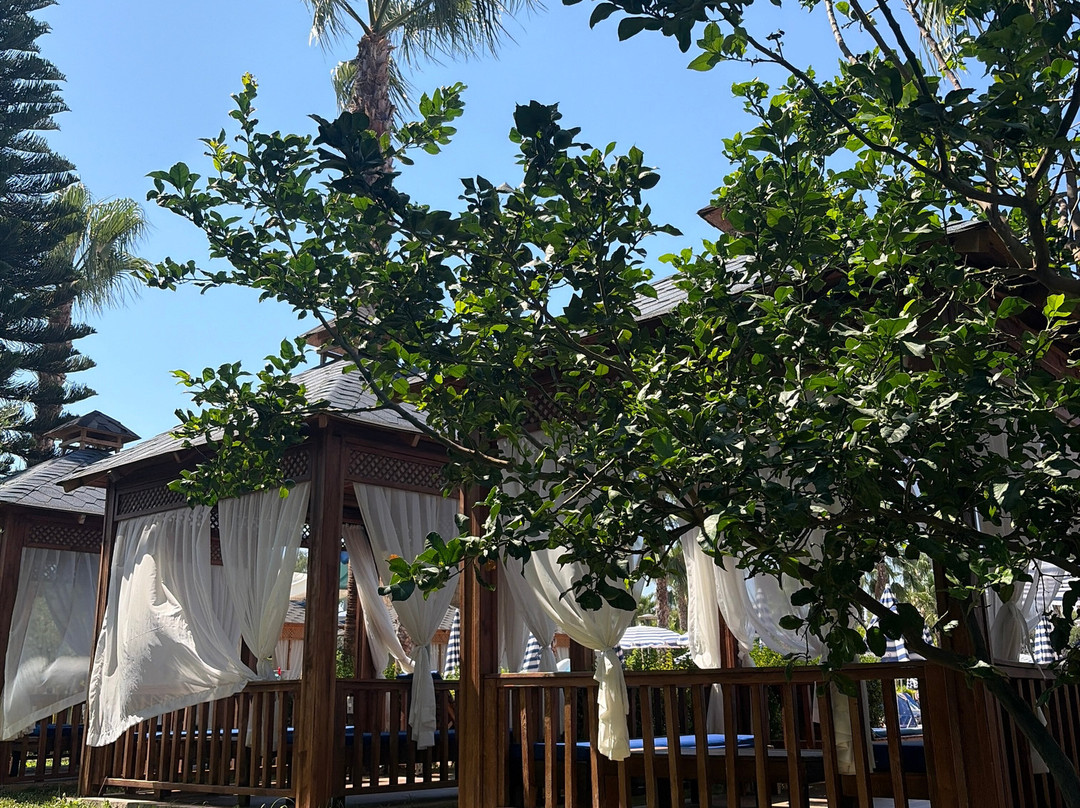 Eftalia Marin Resort Hotel主图