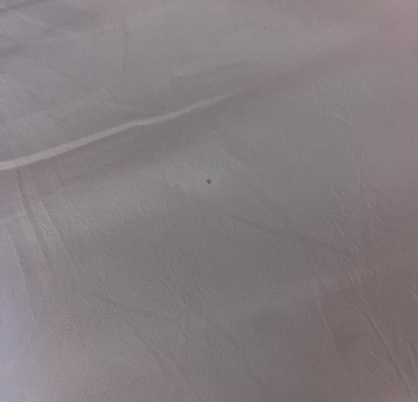 巴约纳旅馆主图