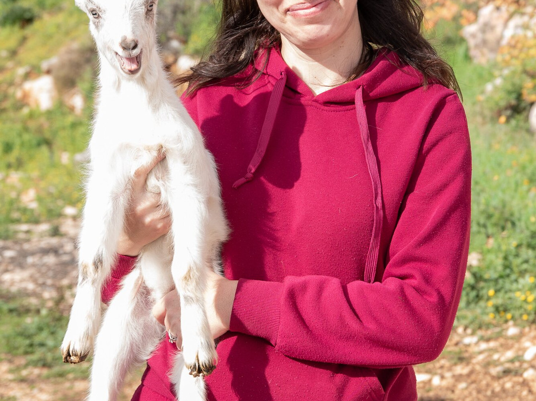 Sofie's Goat Farm-Argos必去景点