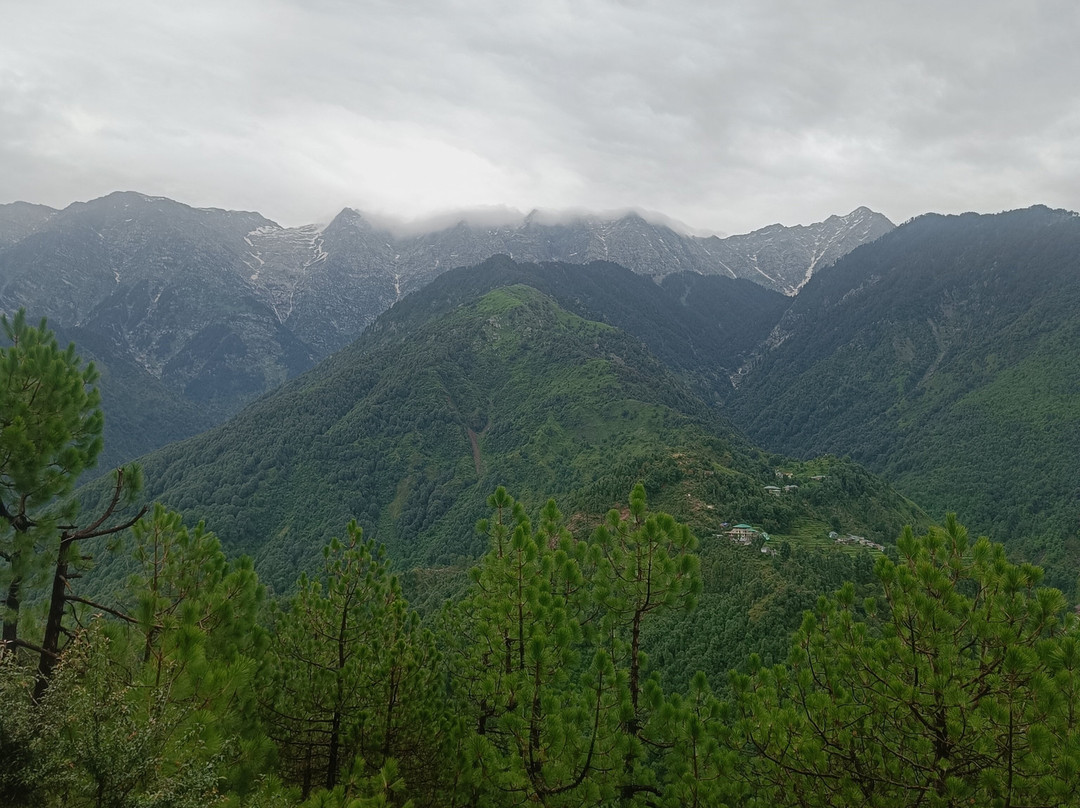 胡斯塔高山度假酒店主图