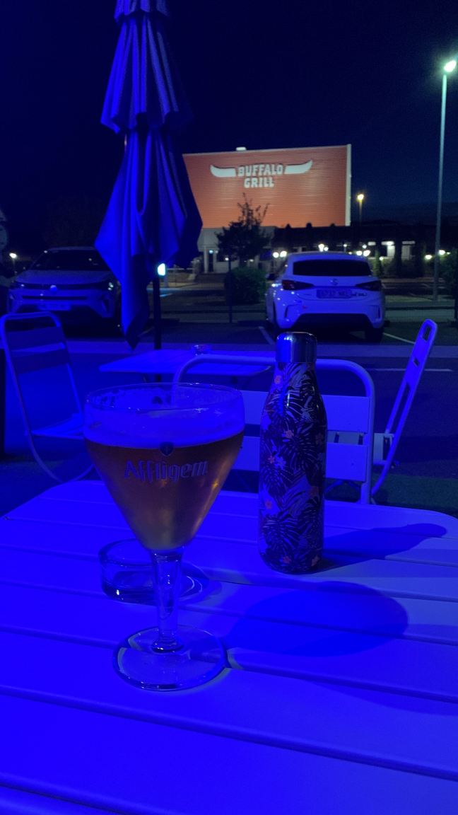 宜必思快捷马孔南部酒店-旅行者