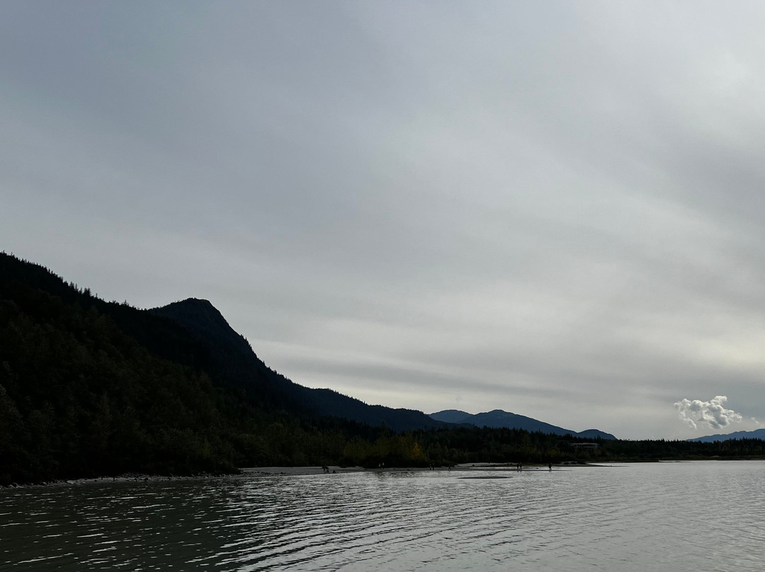 Tongass National Forest-凯奇坎必去景点
