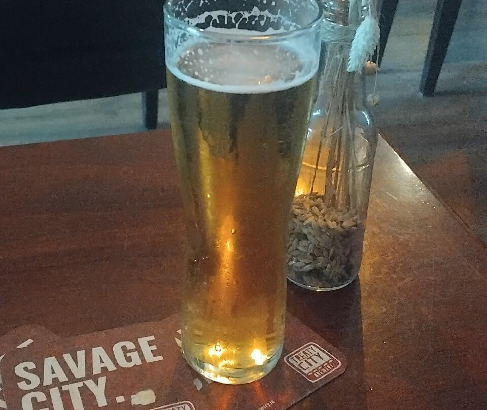 Treaty City Brewery-利默里克必去景点