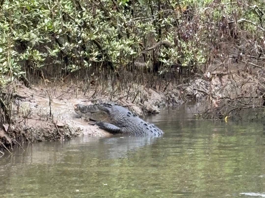 FNQ Nature Tours-凯恩斯必去景点
