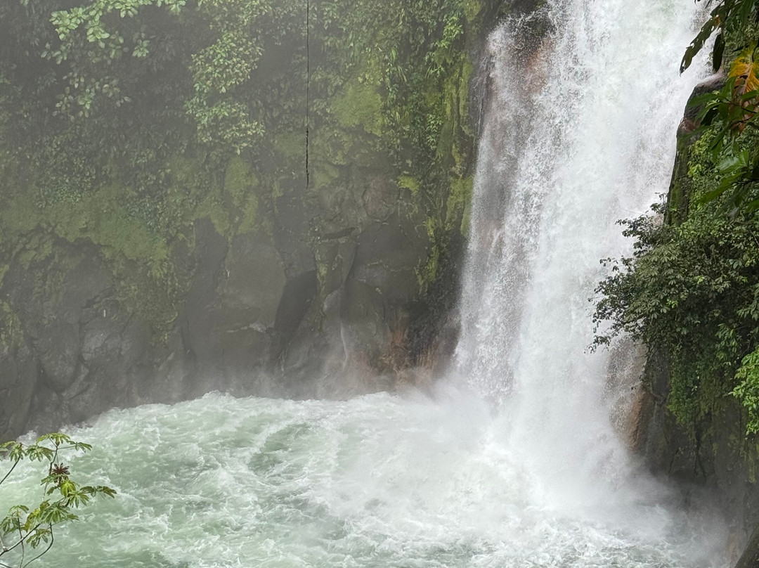 Bijagua Rainforest - Tours-Bijagua de Upala必去景点