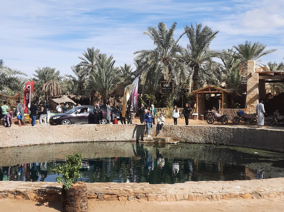 Cleopatra's Pool - Spring of Juba-西瓦必去景点