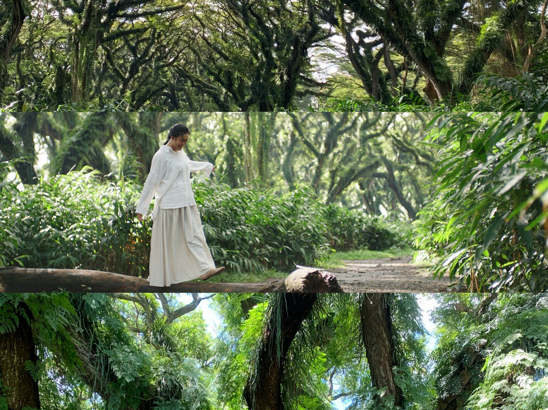 De Djawatan Forest-巴纽旺宣必去景点