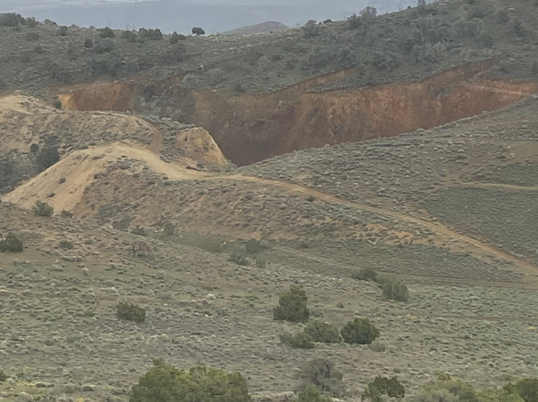 Virginia and Truckee Railway-卡森城必去景点