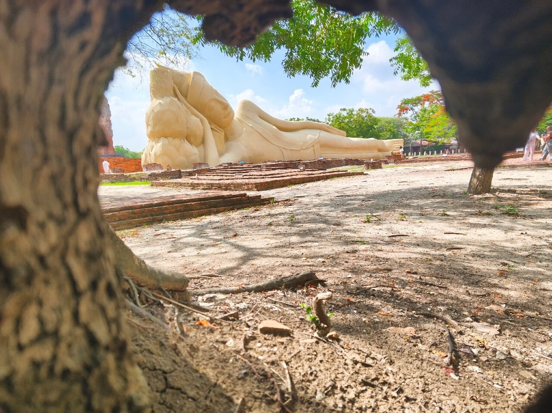 Experiência Tailândia - Tours em Português-曼谷必去景点