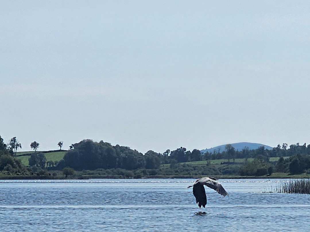 Cavan Adventure Centre-Cavan必去景点