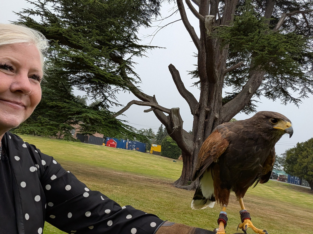 Dalhousie Castle Falconry-邦尼里格必去景点
