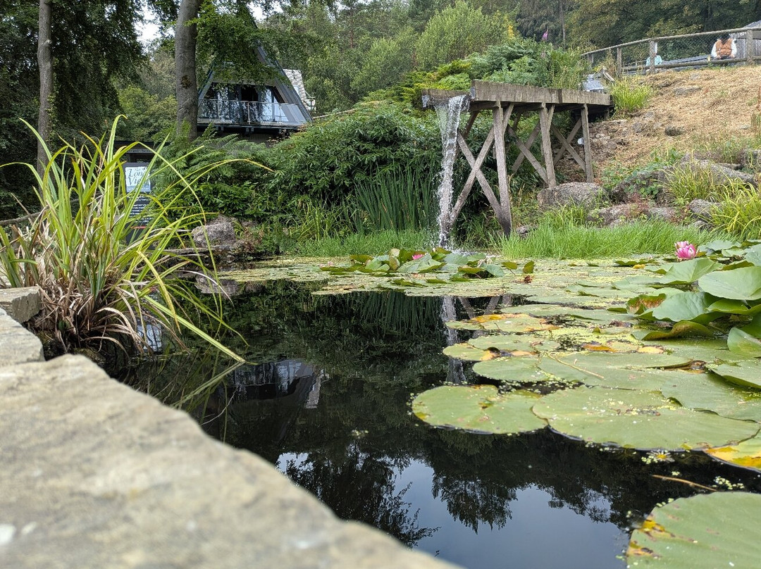 Heights of Abraham-Matlock Bath必去景点