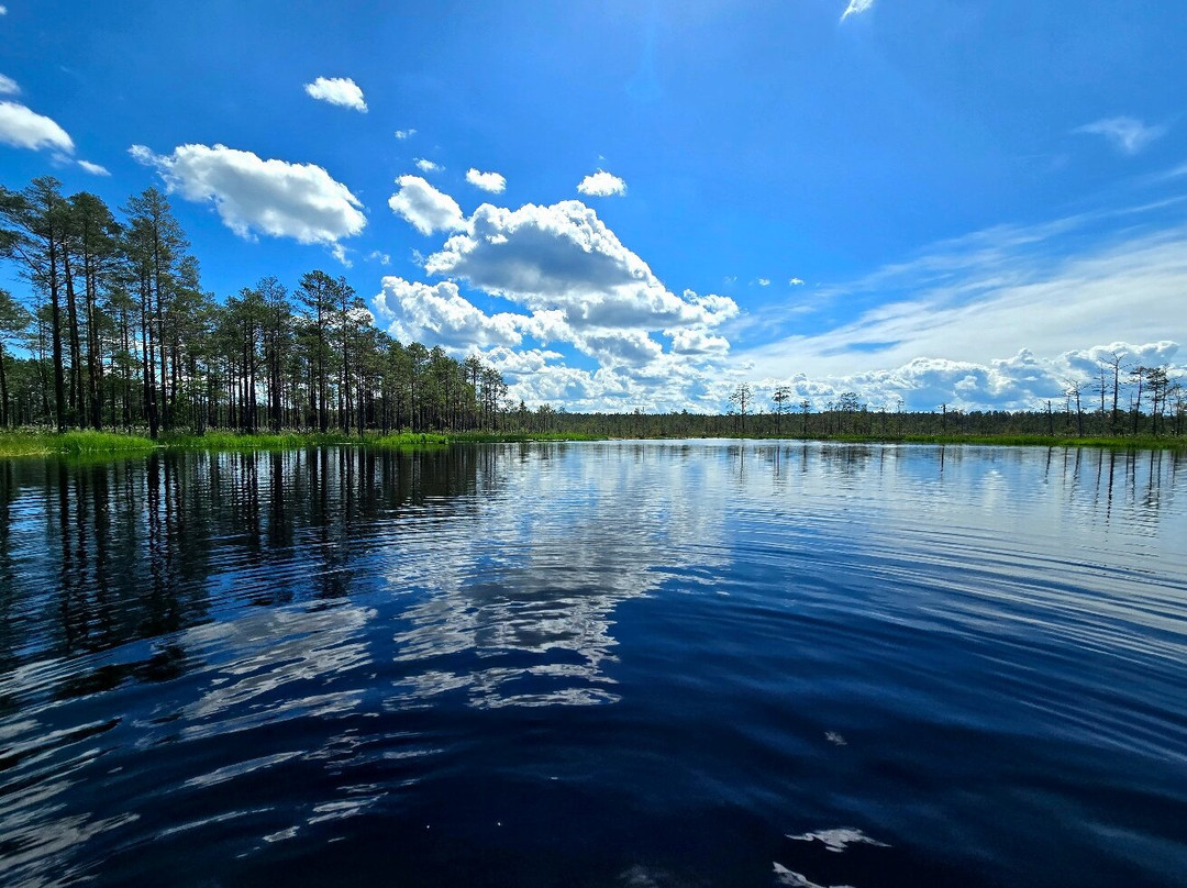 Viru Bog Trail-Kolga必去景点