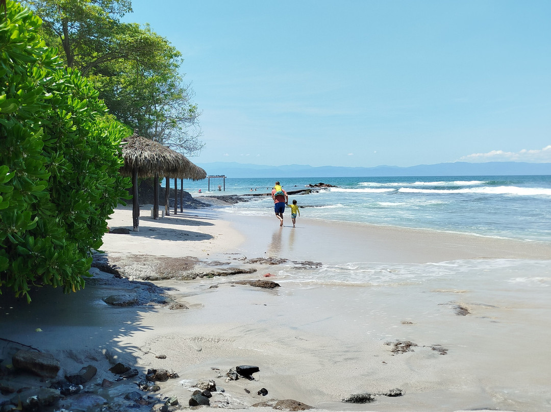 蓬塔米塔酒店住宿-Family Selection at Grand Palladium Vallarta Resort & Spa