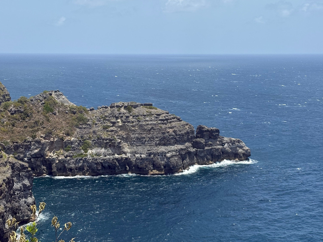 Pointe de la Grande Vigie-Anse-Bertrand必去景点