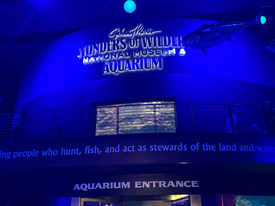 Johnny Morris' Wonders of Wildlife National Museum and Aquarium-斯普林菲尔德必去景点