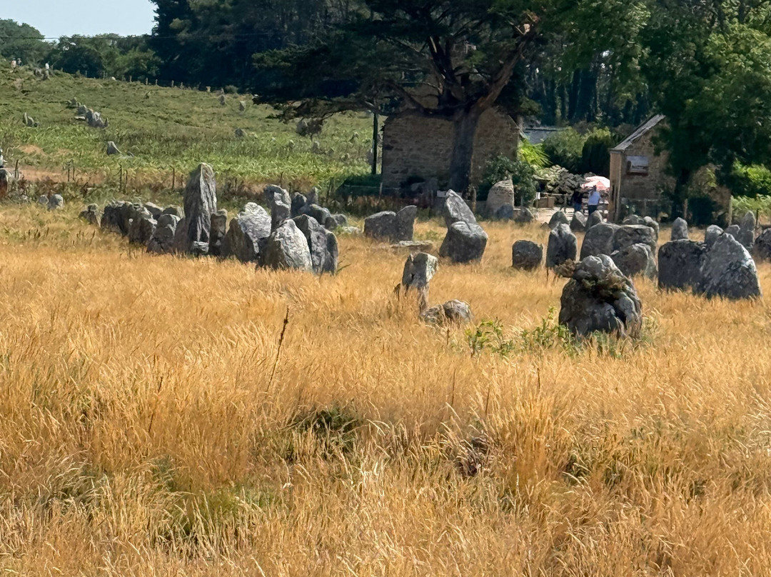 Megaliths of Carnac-卡纳克必去景点